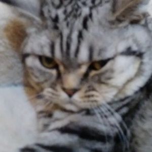 Meet your Posher, Christoph julian